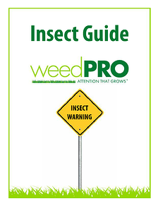 InsectGuideImage InsectGuideImage