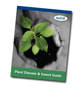 Tree and Shrub Guide Tree and Shrub Guide